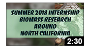 Summer 2018 Biomass Research Internship